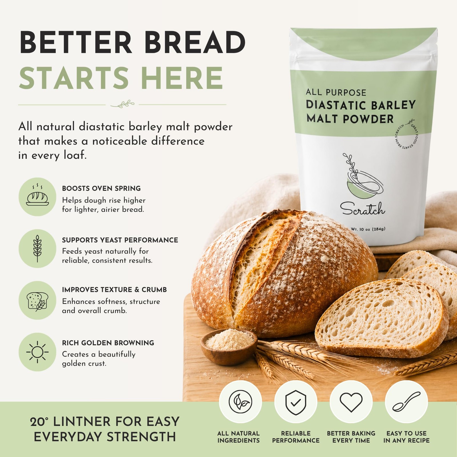 Scratch Diastatic Malt Powder for Baking – (10oz) Dried 10 Ounce (Pack of 1)