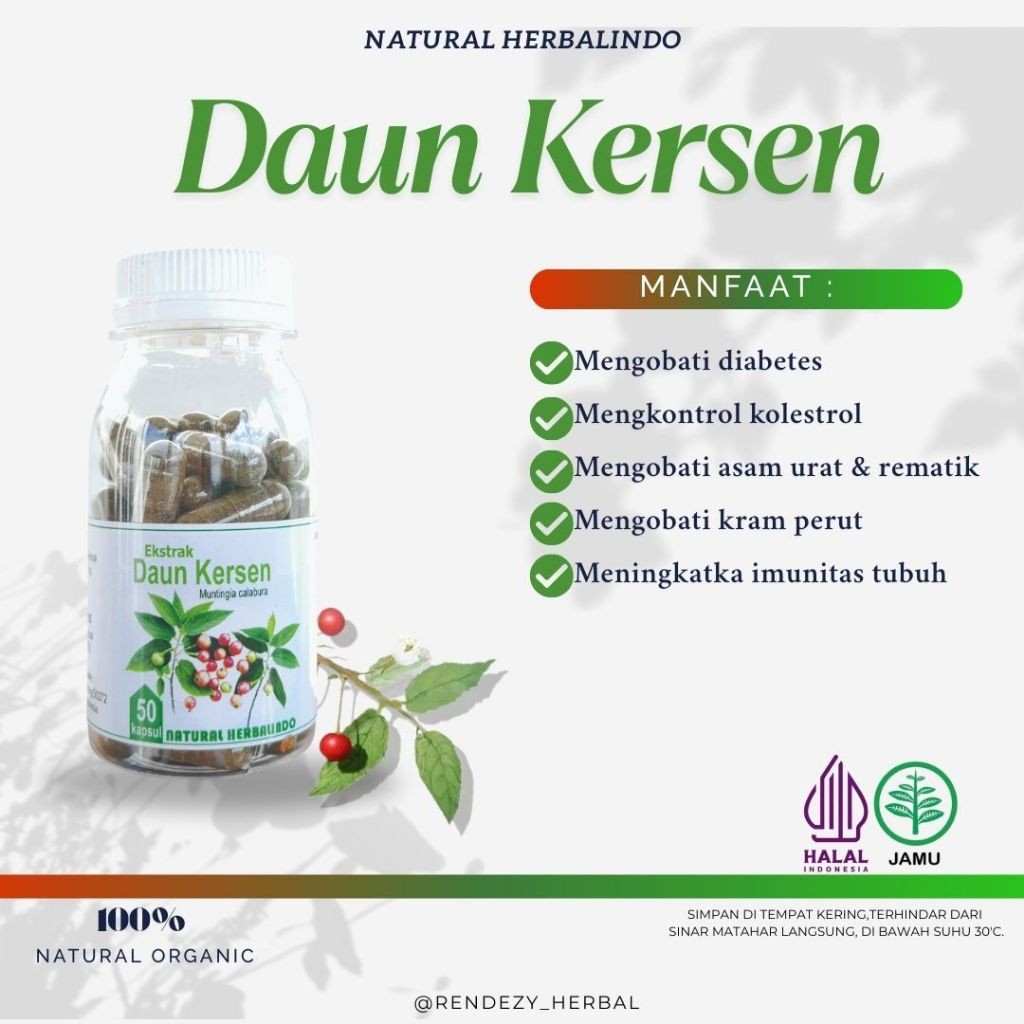Indonesian Muntingia (Kersen) Leaf Herbal Capsules 50s