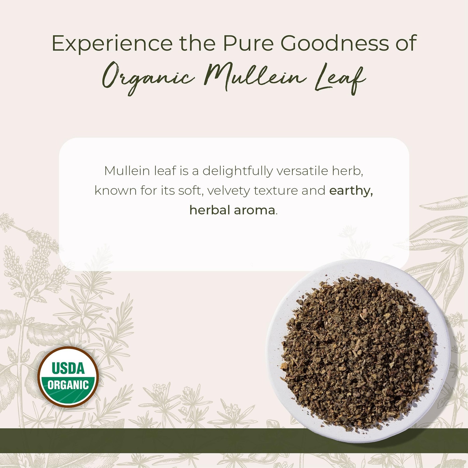 Starwest Botanicals Organic Mullein Leaf – 16 Ounce (Pack of 1), No Color