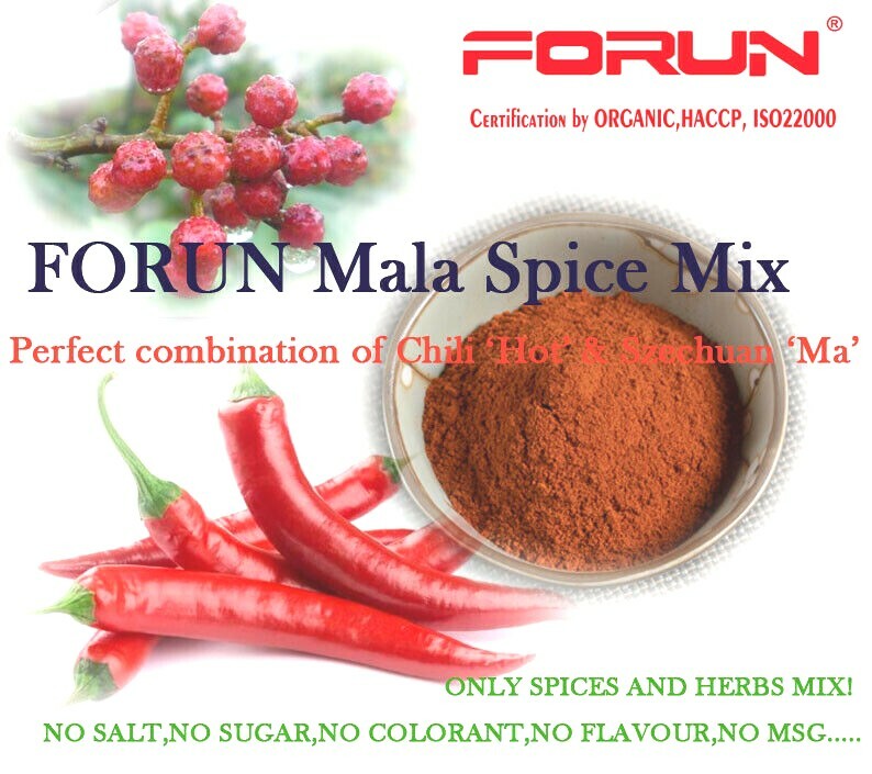 FORUN China Mala Sauce Gravy Powder (四川麻辣酱粉)- Gravy Style