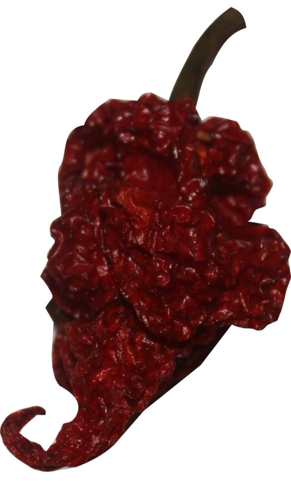 🥵 HOT Spice Gift Set Dried Carolina Reaper, Ghost & Scorpion Peppers BONUS 🥵