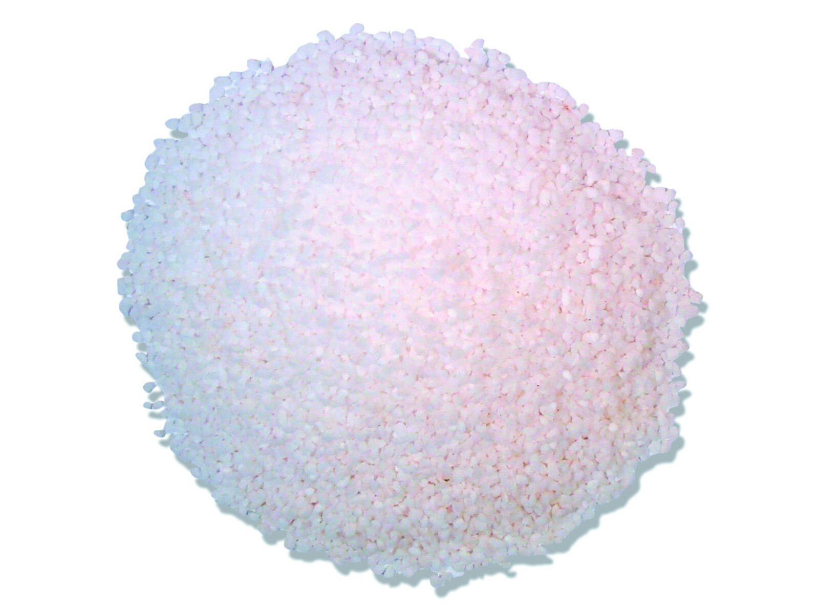Pretzel M Salt Spice Spices Seasoning 2 Pounds Free Shipping