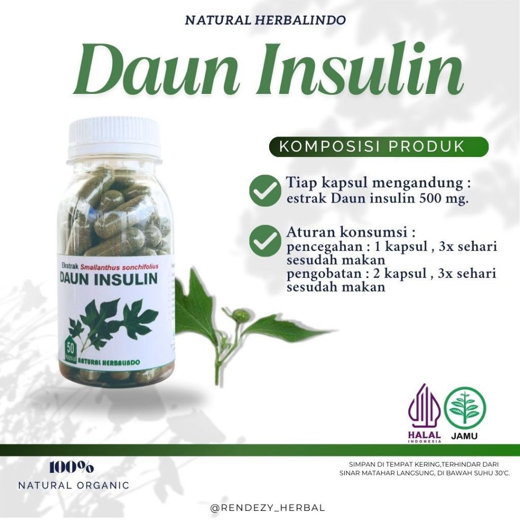 Insulin Leaf Capsules 50pcs 500mg Indonesian Herbal Support