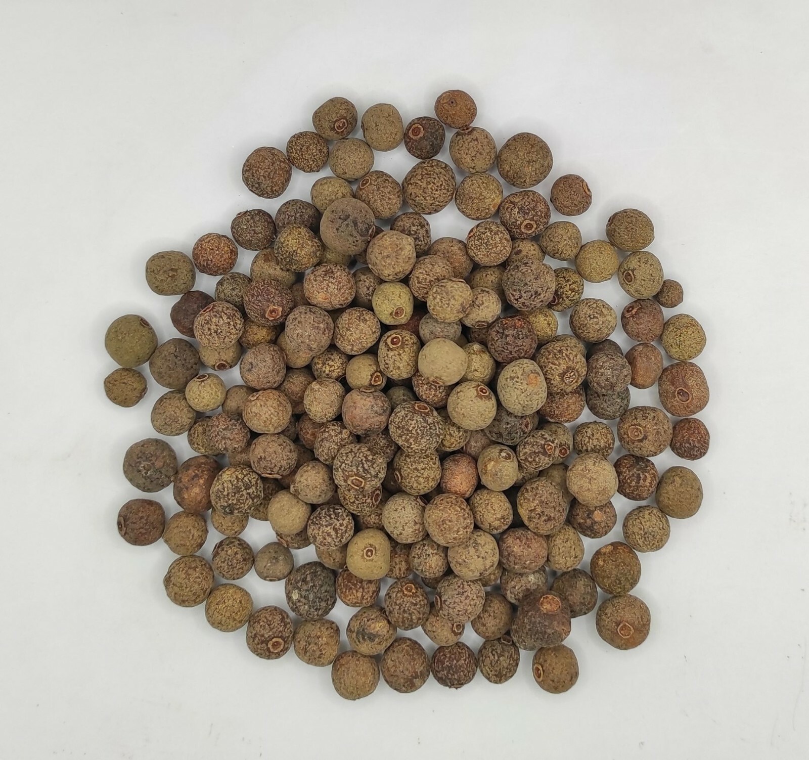 Allspice Pimento Whole Seeds 85g(3 oz) – 1,95kg(68.8 oz) Pimenta dioica