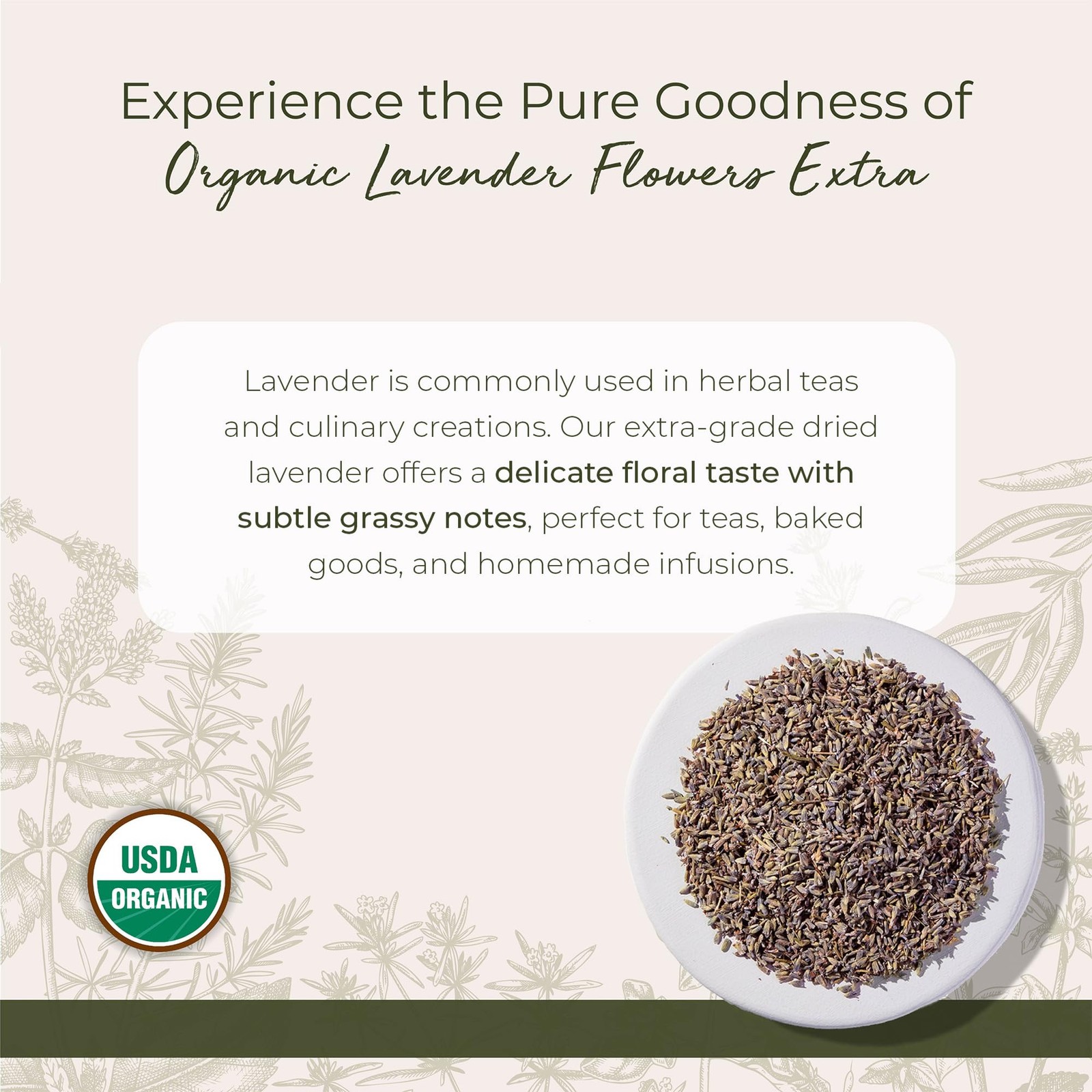 Starwest Botanicals Dried Lavender Flowers 1 Pound (Pack of 1), No Color