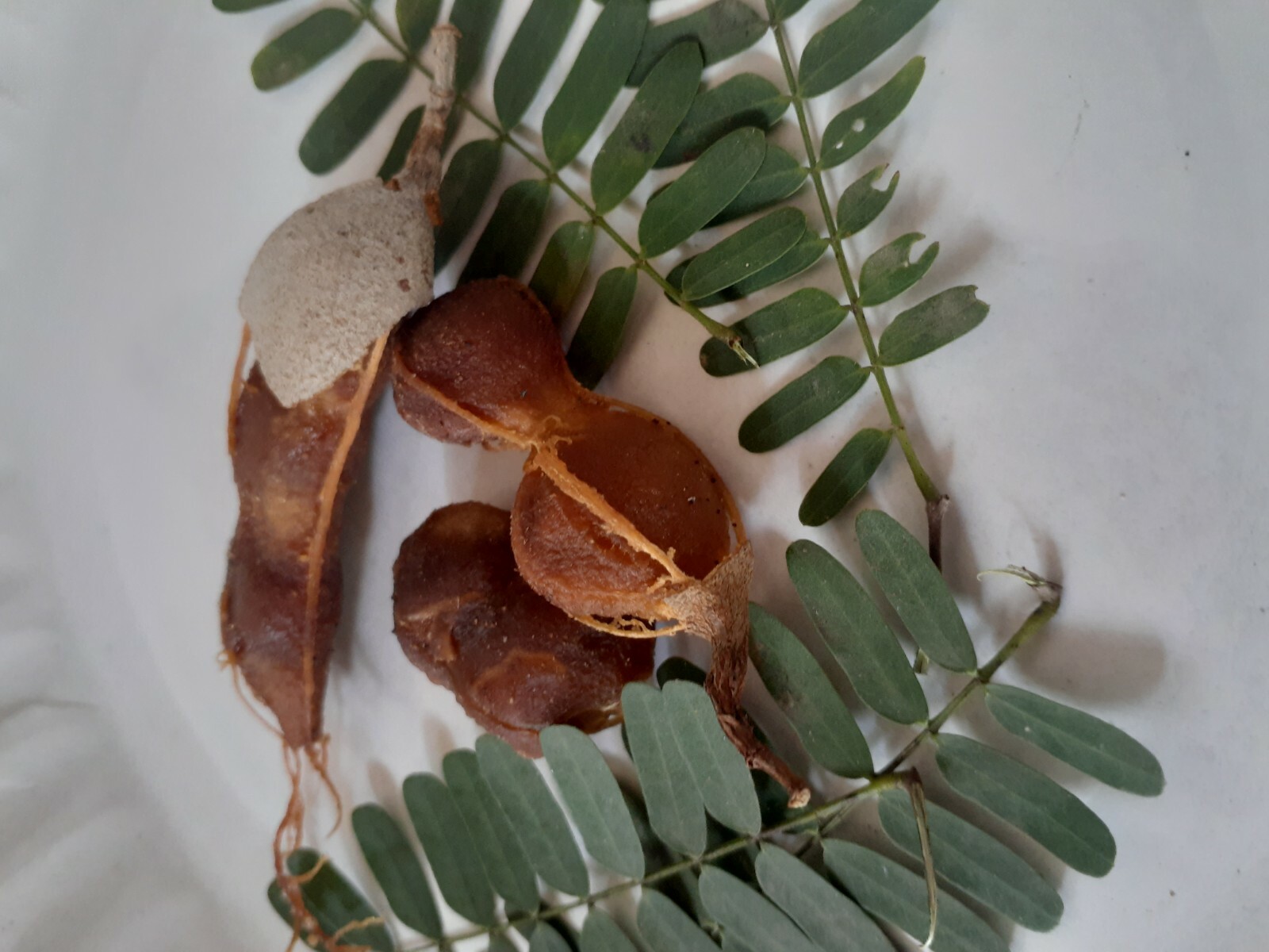 100% Natural Ceylon Dried Seedless Tamarind 50g Healthy Sun Dried