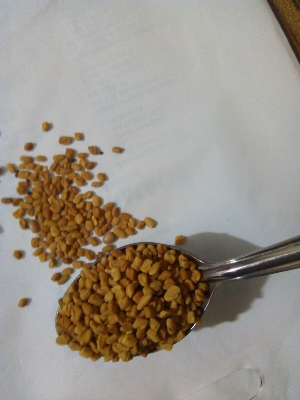 Fenugreek Seeds Trigonella Foenum Graecum Fenogreeco 100% Pure Medicinal SL