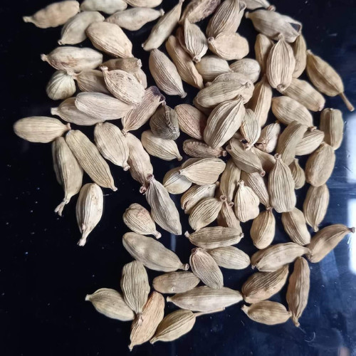 Ceylon Cardamom Seed Pods Natural Organic Sri Lanka Spices Cardamom Seeds