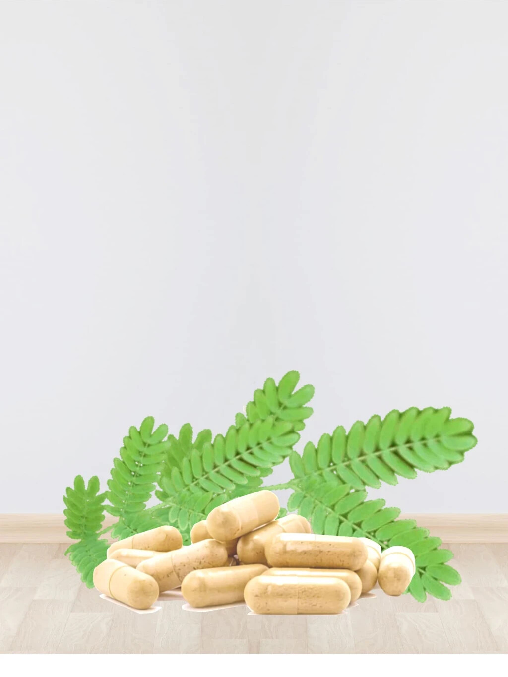 Sage Leaf Extract Natural Organic Herbs Spice Fresh Pure Hygienic Premium