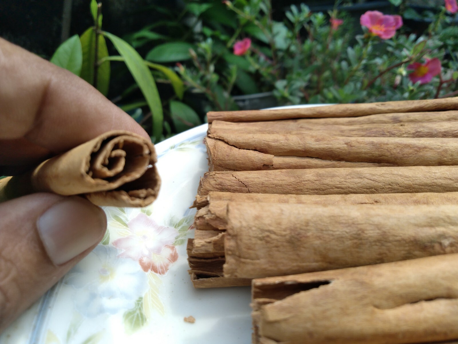 Ceylon Cinnamon sticks – Organic High Quality Pure Natural True Sri Lankan 100 g