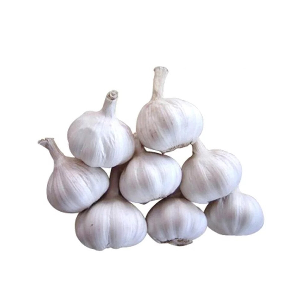 Indian Spices Masale Garlic Lehsun Pure Organic 10-1000 gm Free Ship