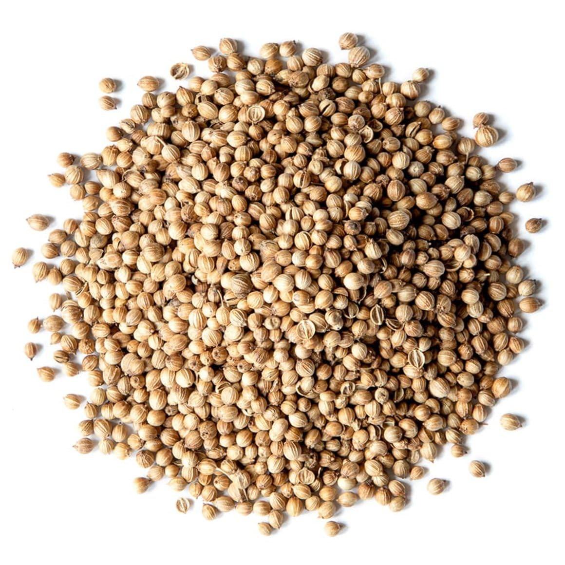 Cerez Pazari Coriander Seeds 10 oz – Whole, Non-GMO, 10 (Pack of 1)