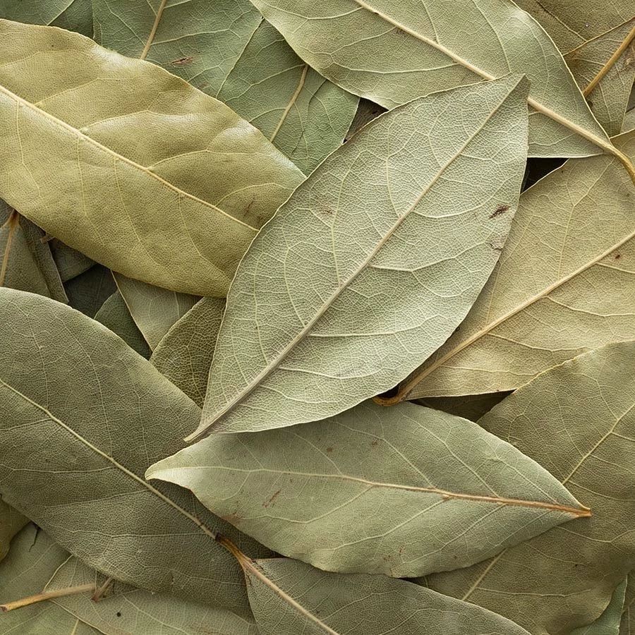 Whole Bay Leaves – Hand Selected Extra Large Premium Spice | 2.75oz
