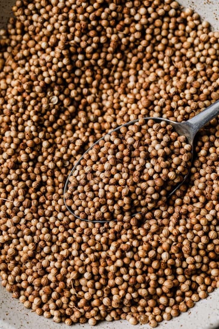 Herbal Coriander Natural Organic Spices free shipping 100% High Quality