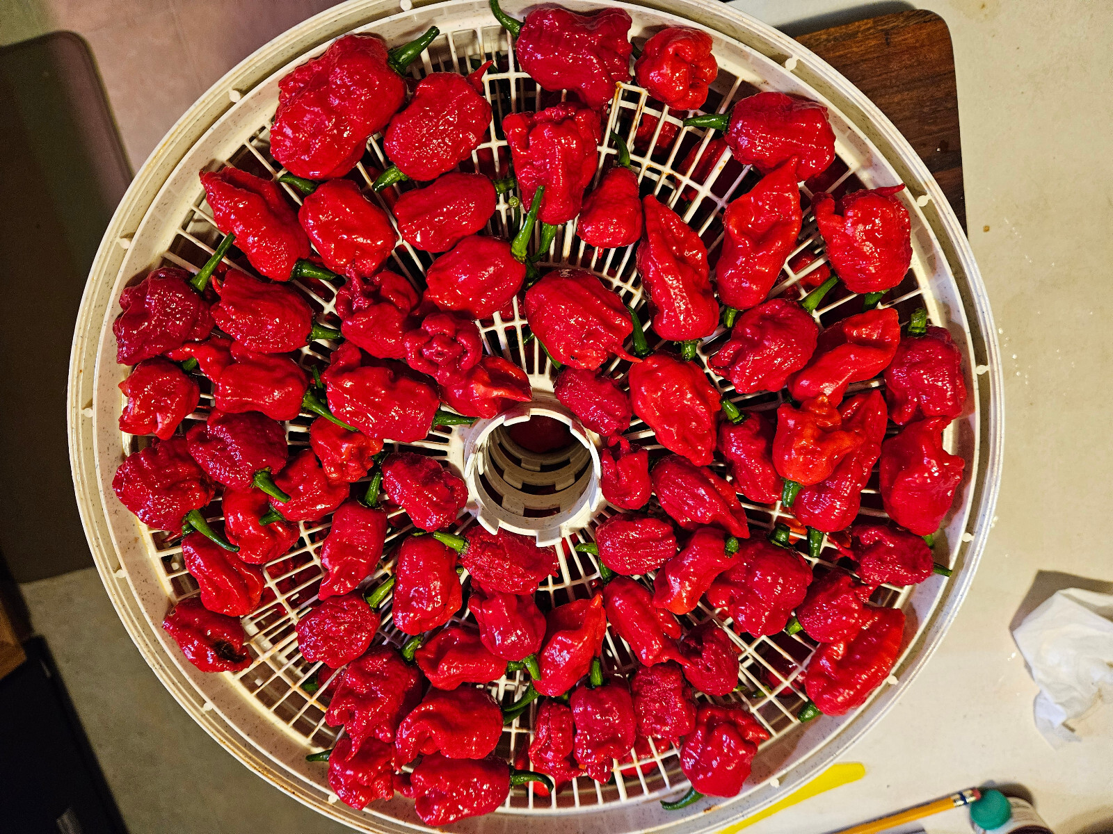 USA Dried Organic Carolina Reaper Peppers. 20 Peppers in a Resealable Pouch.