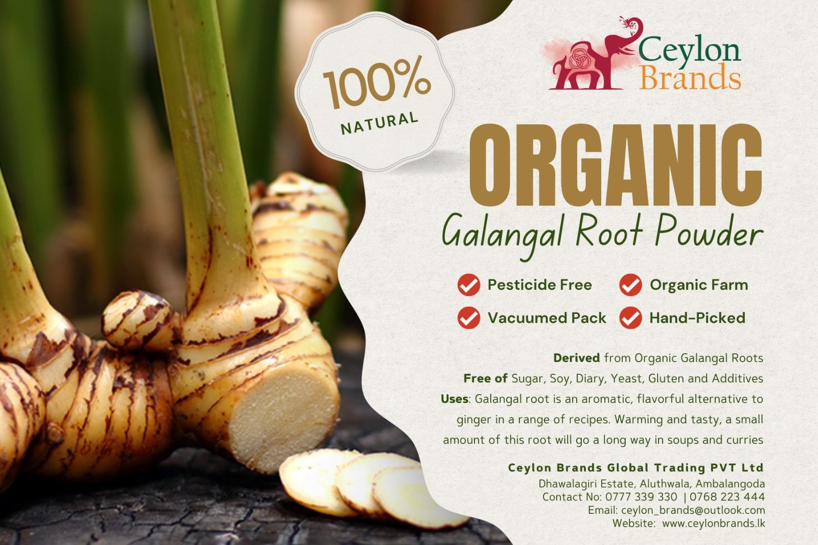 Ceylon Dried Galangal Root Powder 50g | Pure Herbal Spice | Aromatic & Medicinal
