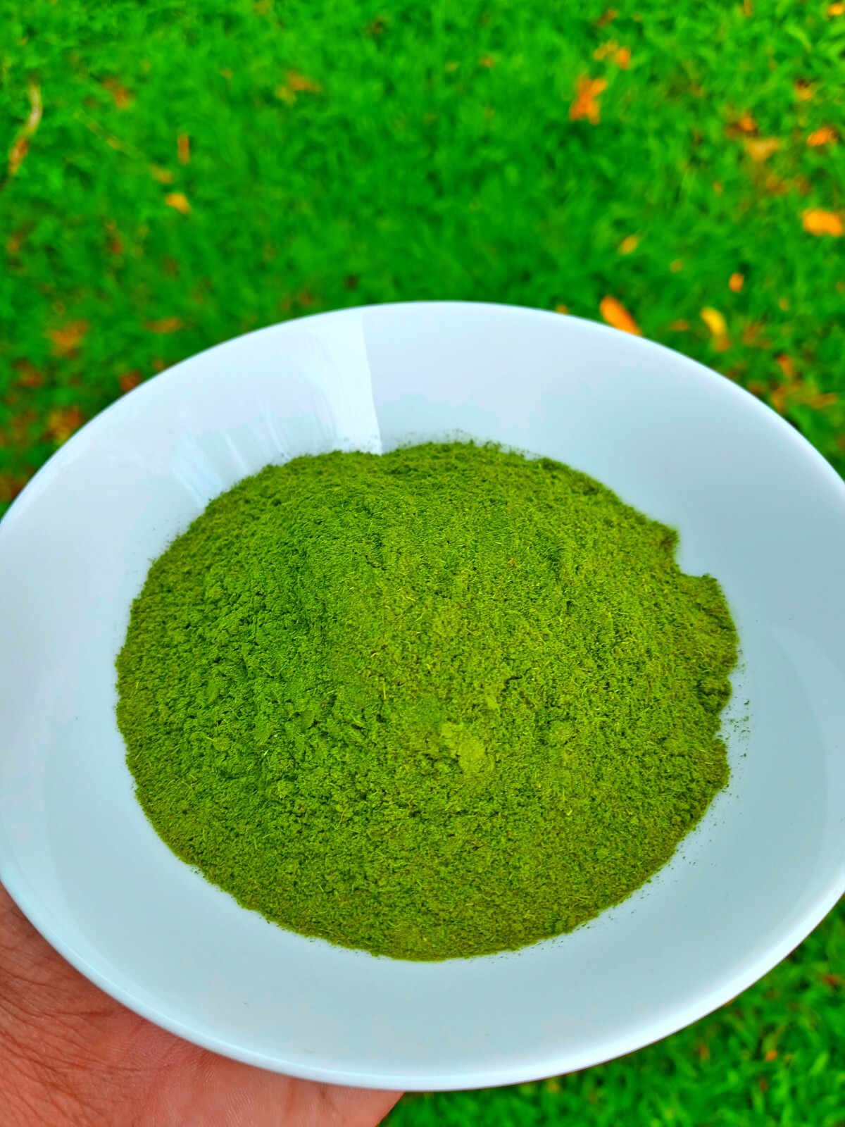Dried curry leaves Powder | Karapincha leaves 100% Organic 🇱🇰 Original Product