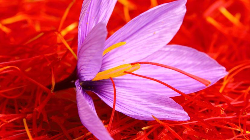 Organic Red Saffron Finest Pure Premium Spices Threads Grade A+ Original Genuine