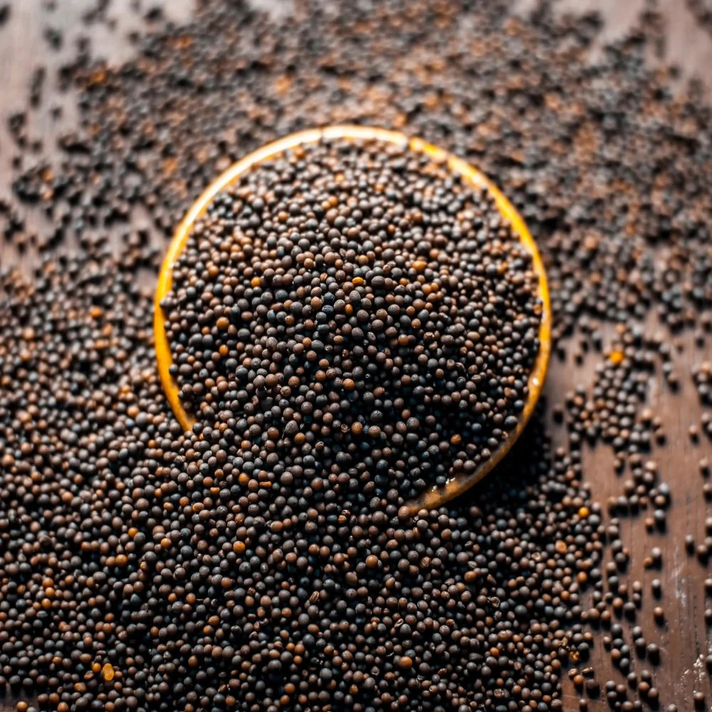Brown Mustard Seed Natural Whole Rai Seeds Fresh Pure Premium Spice
