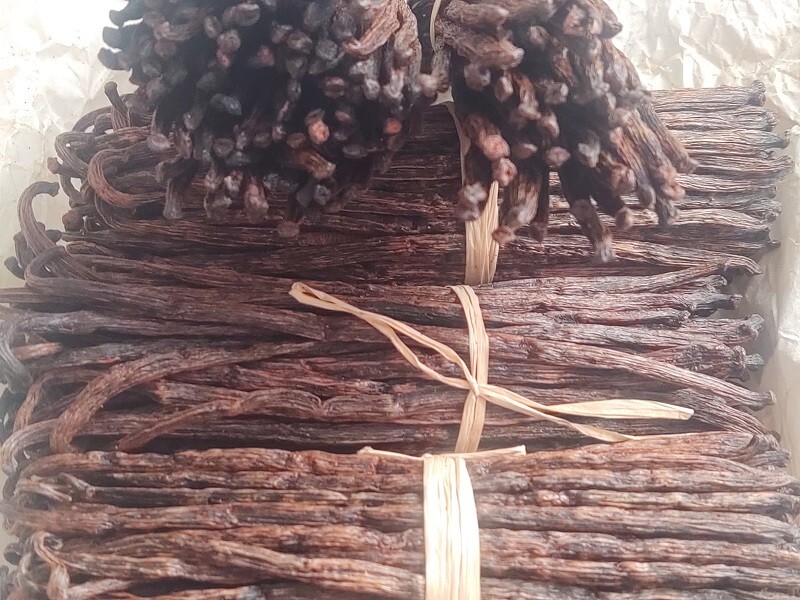 Organic FairTrade Madagascar Vanilla Beans Red Splits and Wholes Extract Grade