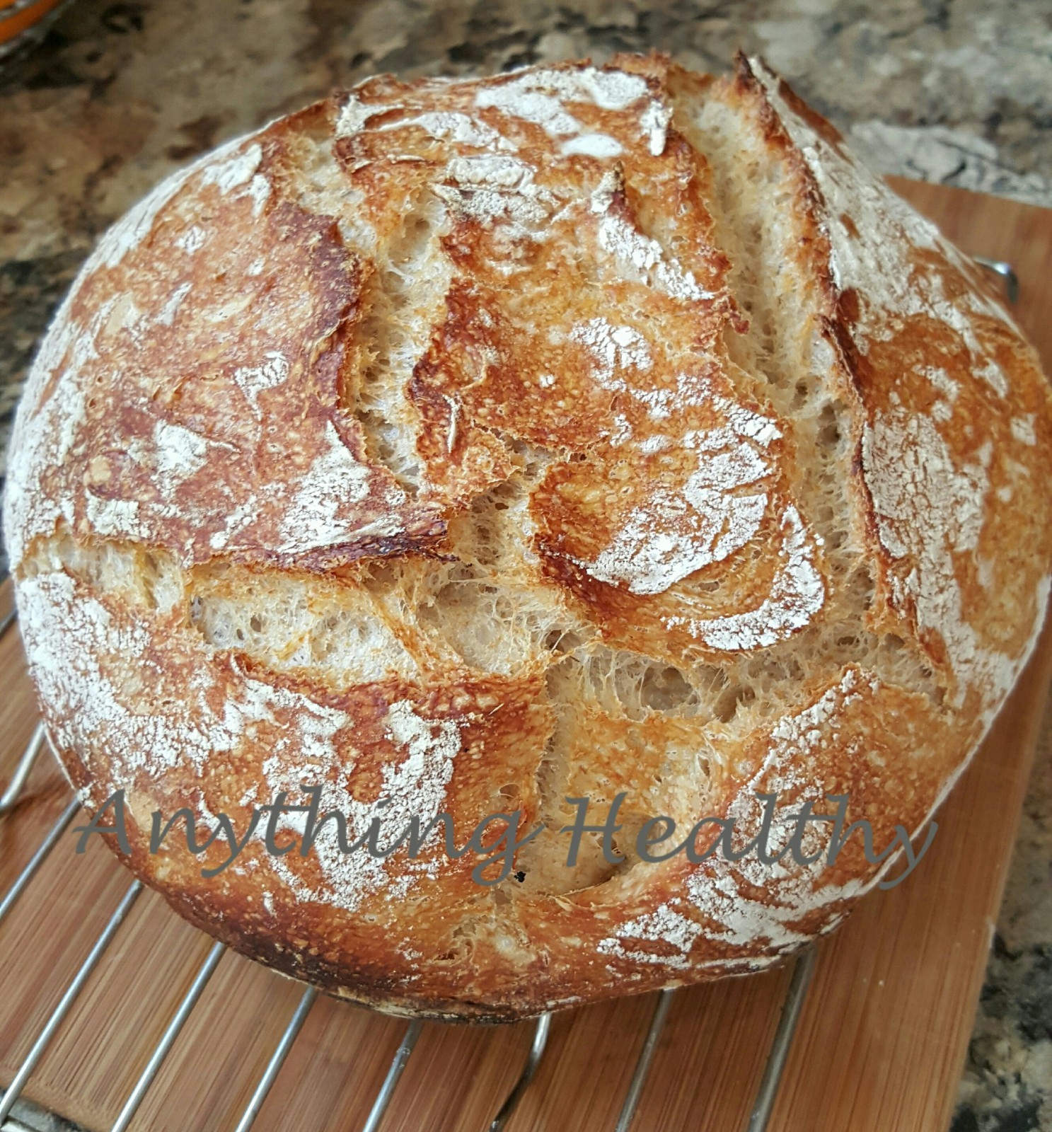 San Francisco Sourdough Bread Starter Priobiotic Yeast Dehydrated