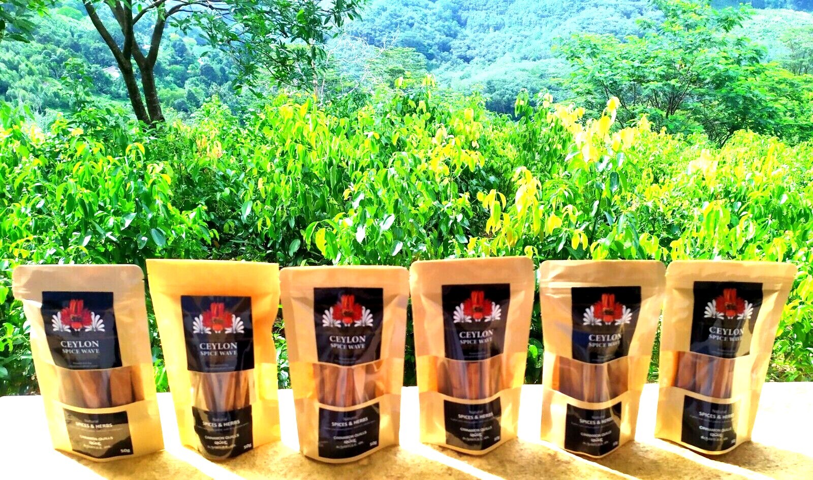 Ceylon Cinnamon sticks Cinnamomum Canela Certified Sri Lanka Free shipping