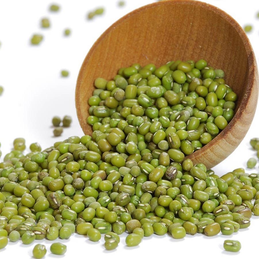 Whole Mung Beans Green Gram Natural Fresh Premium Whole Beans