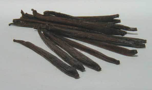 VANILLA BEANS Madagascar extract 5-6 inch 10 beans