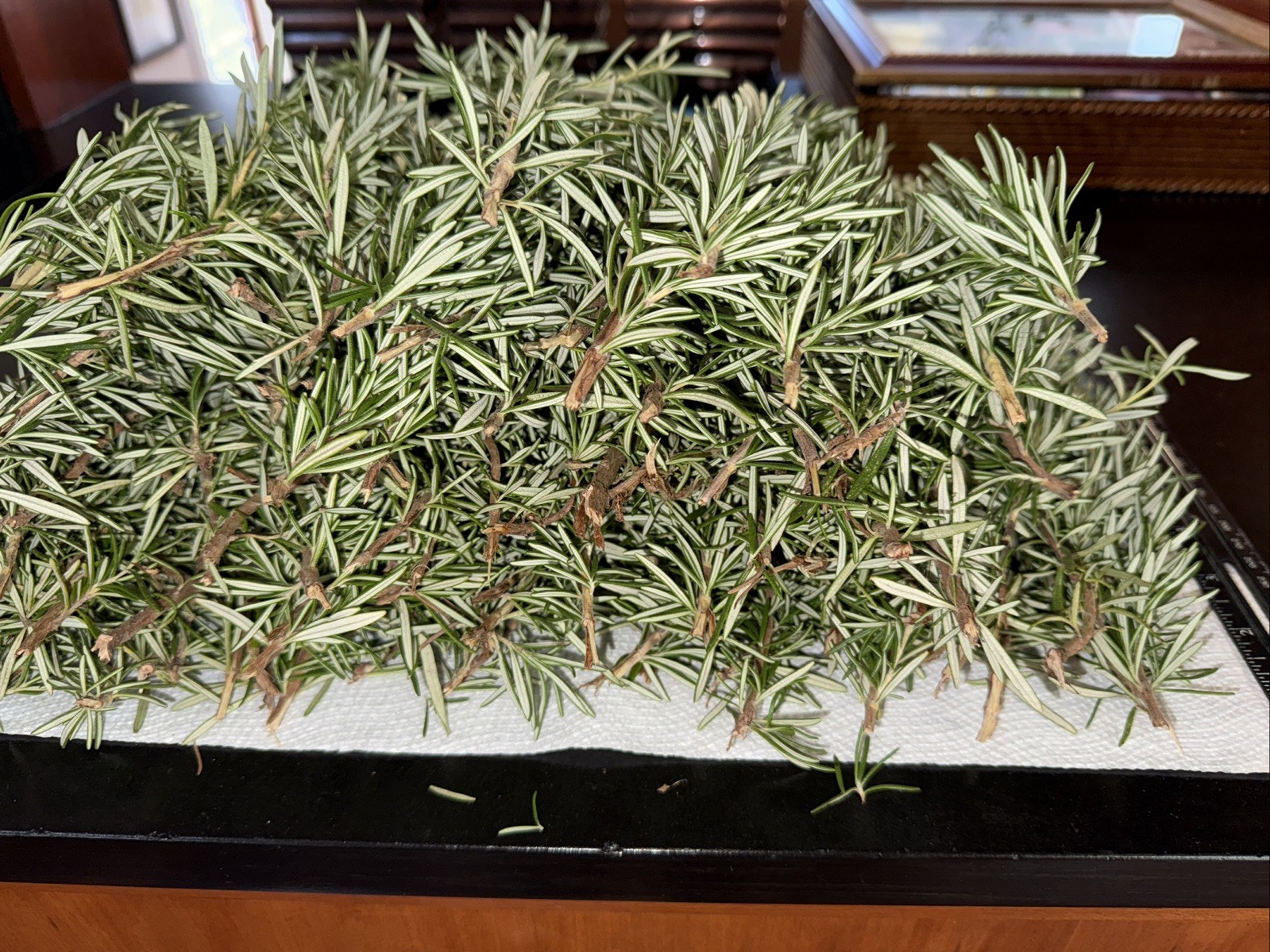 100 Stems Fresh Organic Rosemary, 100 Cuts Fresh To Order For $90.00,USA