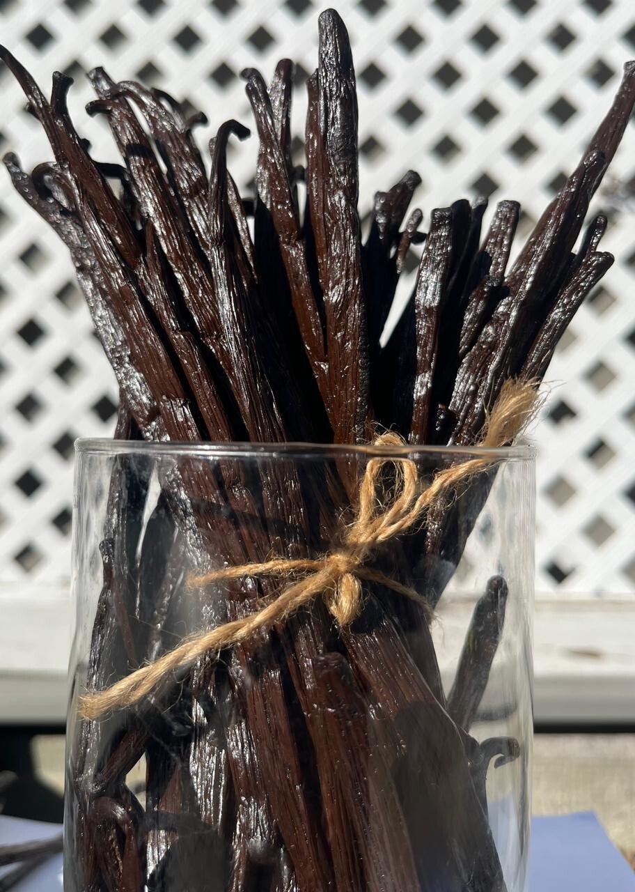 Madagascar Bourbon Grade A Vanilla Beans, Bulk, 6-8 Inches, Free shipping
