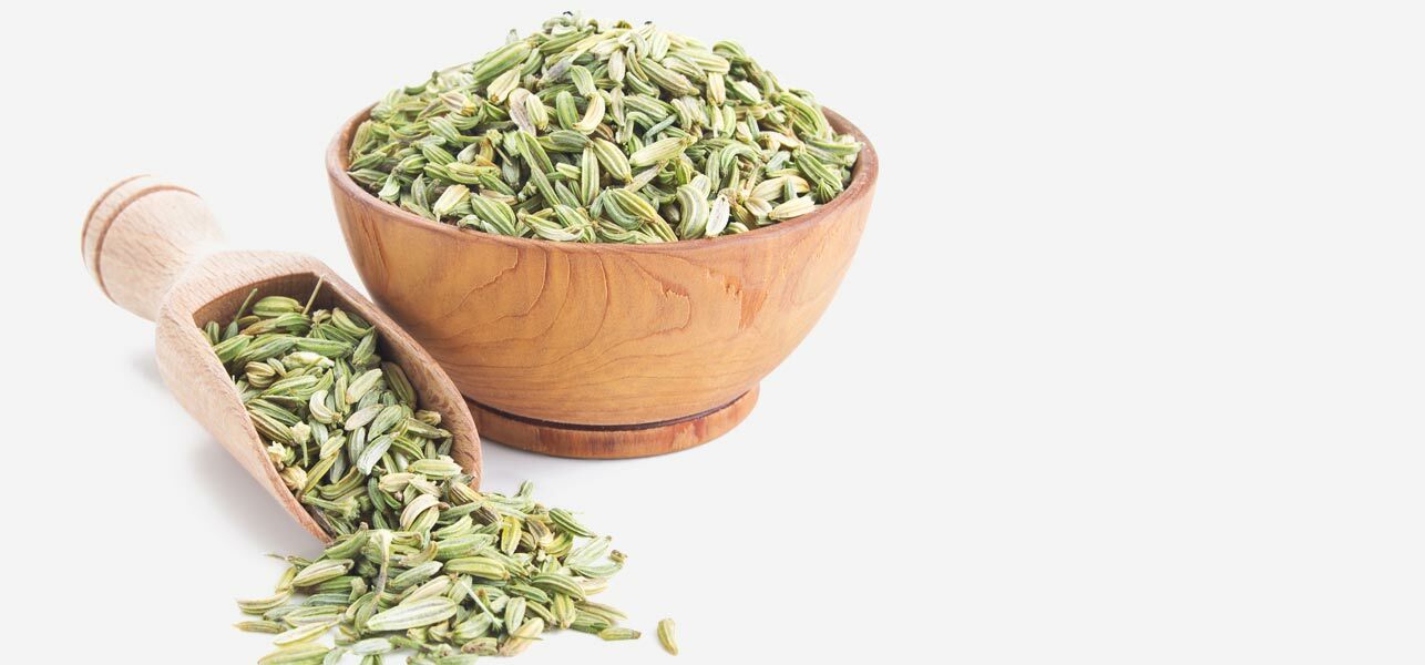 Premium Fennel Seeds / Powder 100% Organic High Quality Direct from India
