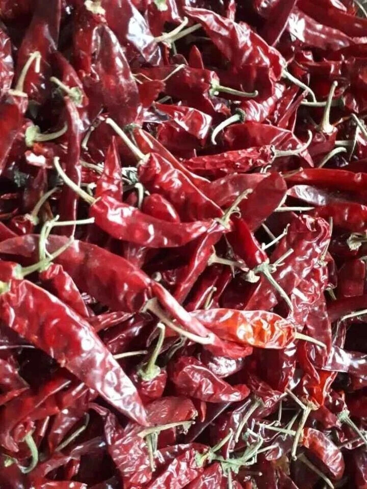 Mathania Red Chilli Whole Indian Premium, Lal Mirch Sabut – Free Shipping