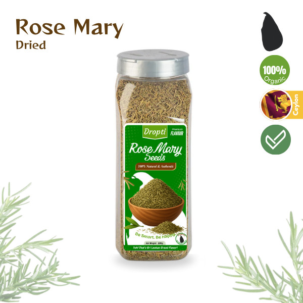 Fresh Organic Rosemary Herb – Aromatic Culinary Spice – Homegrown Garden Plant –