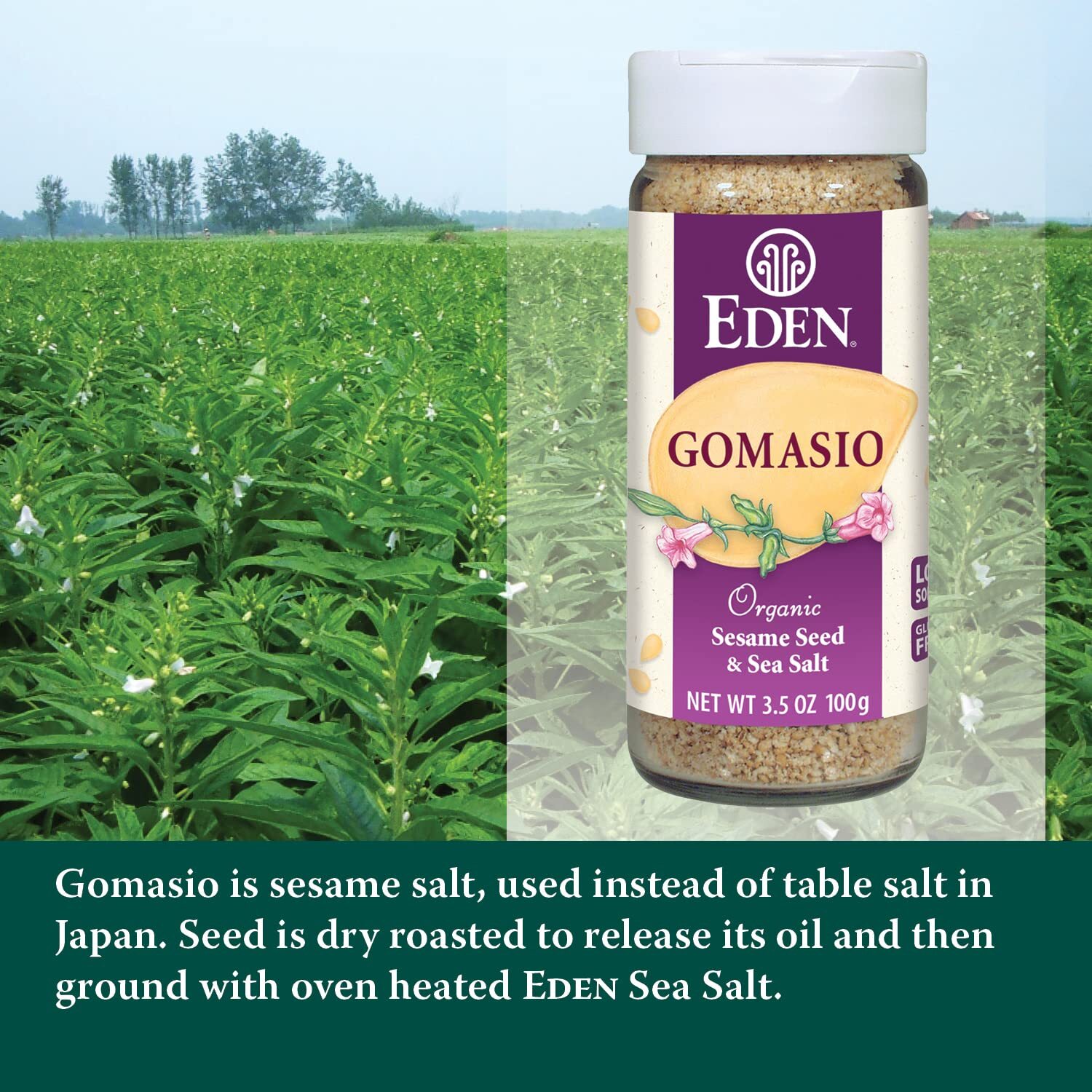 Eden Foods Organic Gomasio Sesame Salt 3.5 Oz