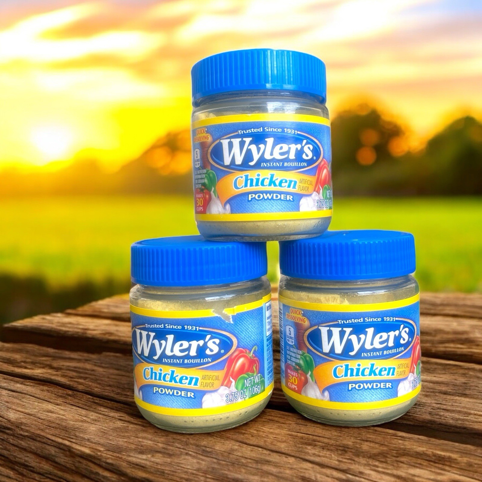 Wyler’s Instant Bouillon Chicken Flavored Powder 3.75 oz Jars BB 09/2025, 3 Pack