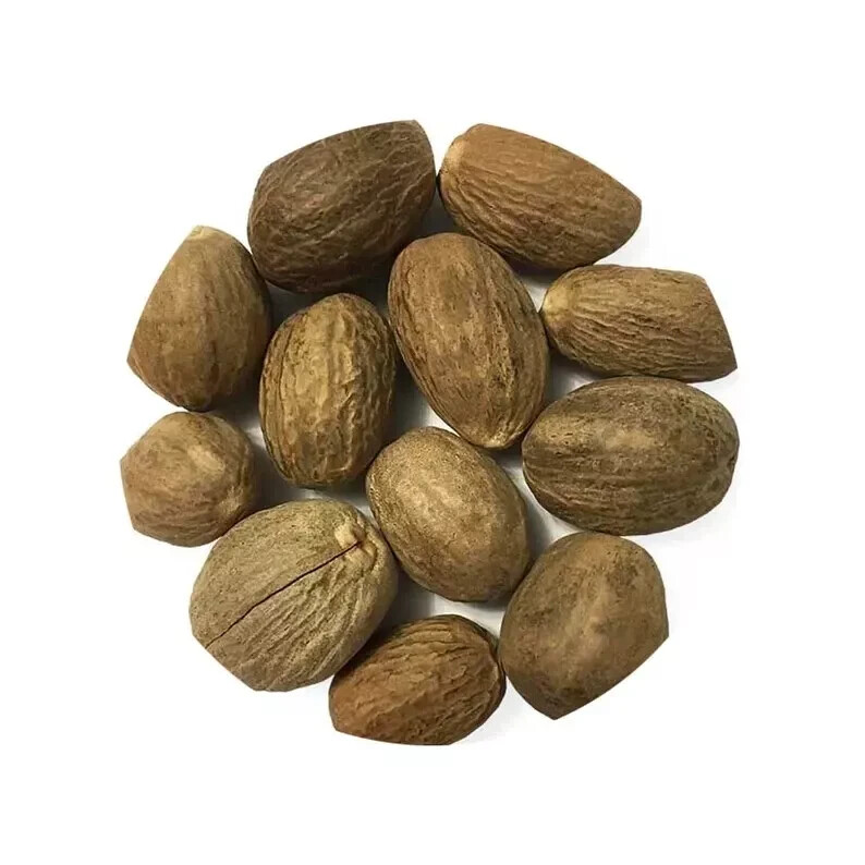 Organic Natural Herb & Spices Nutmeg Whole Jaiphal For Cooking Food