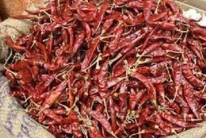 Red Chilli Indian Whole Premium A+ Grade Lal Mirch Stemless – Free Ship