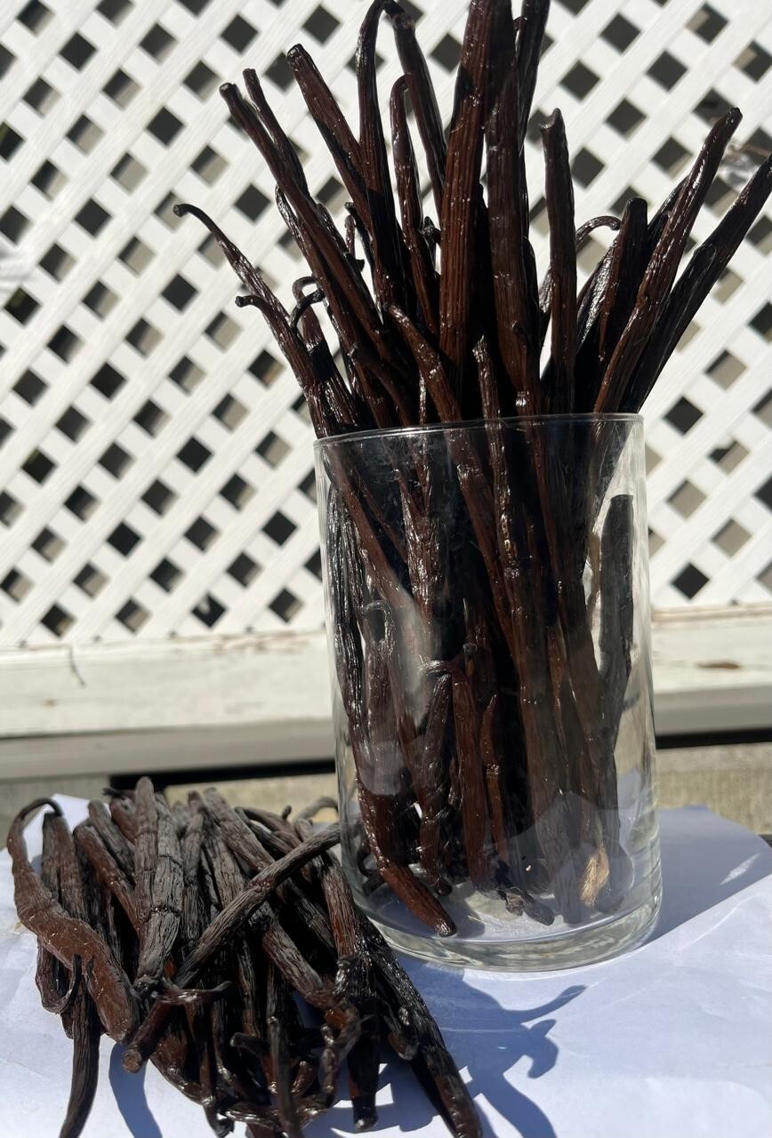 Madagascar Bourbon Grade A Vanilla Beans, Bulk, 6-8 Inches, Free shipping