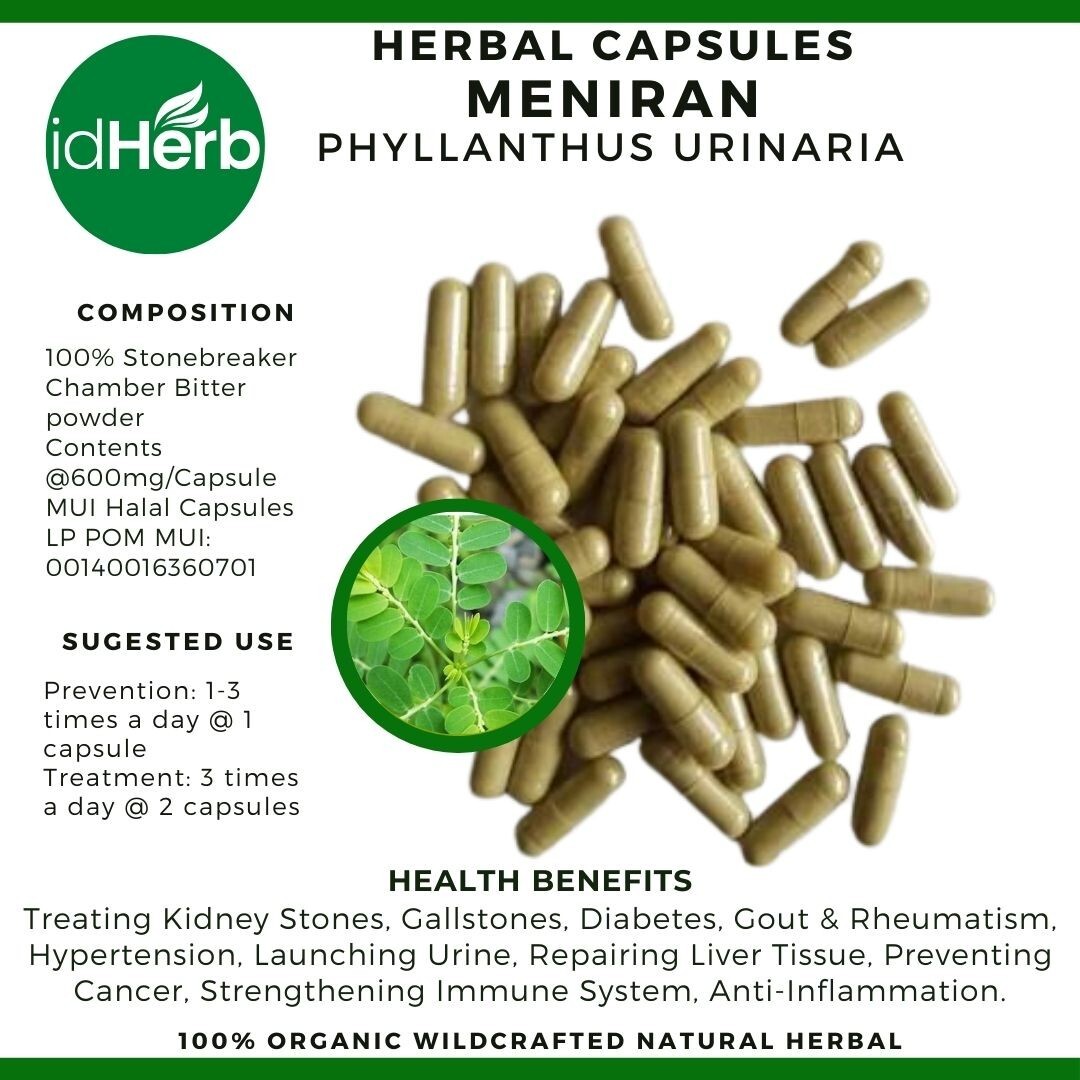 Capsules Phylanthus Urinaria Meniran Natural herbal Organic 100% Herbs