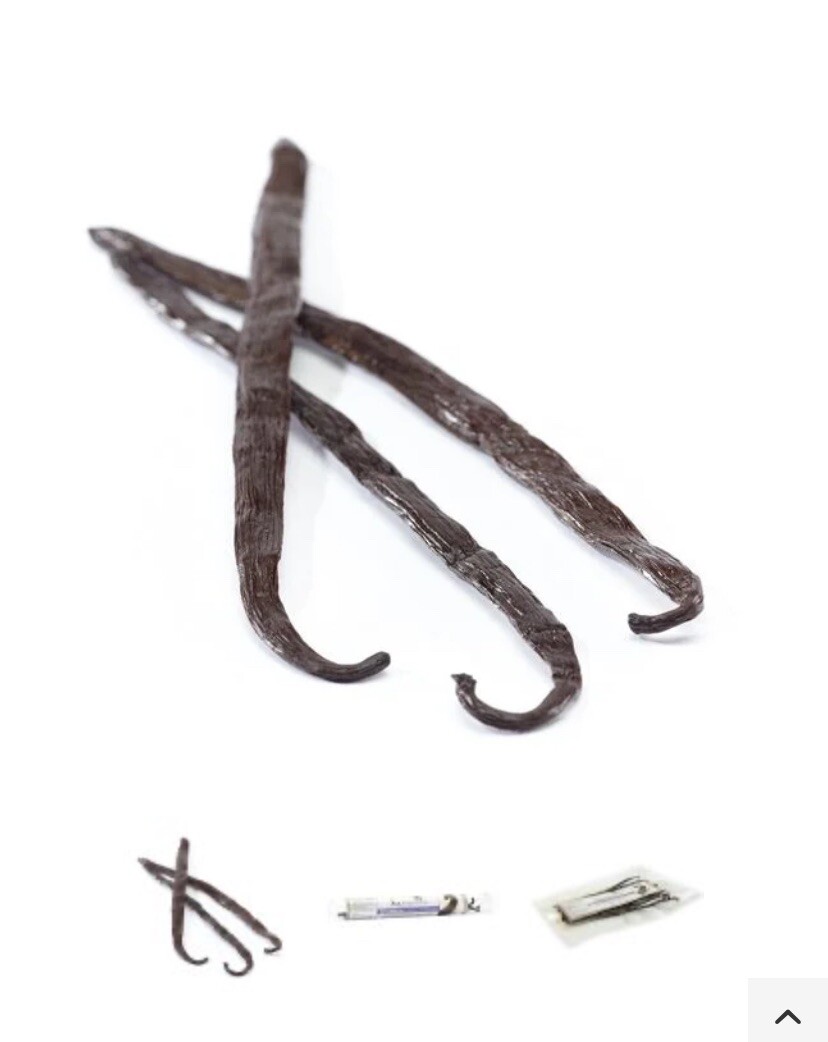 Papua New Guinea Vanilla Bean Planifolia Grade A,L 18-20 Cm Up,Mc 25-30. 8,8 Oz