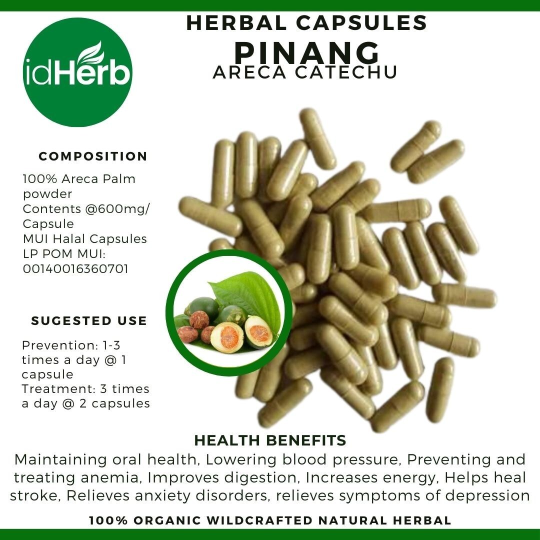 Capsules Areca Catechu Pinang Natural herbal Organic 100% Herbs