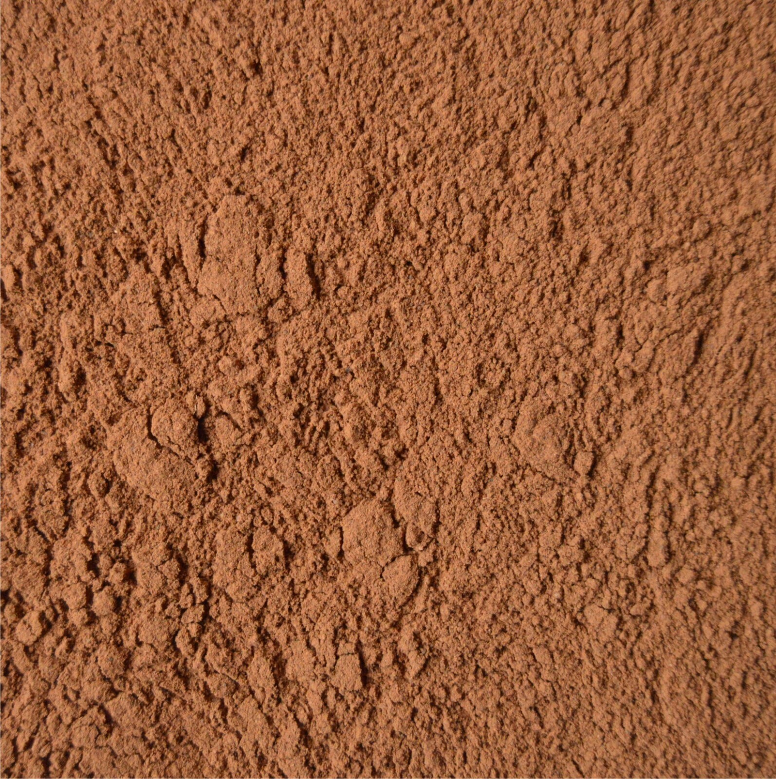 CEYLON CINNAMON – [Cinnamomum L.] – powdered bark – 1000g (1kg)