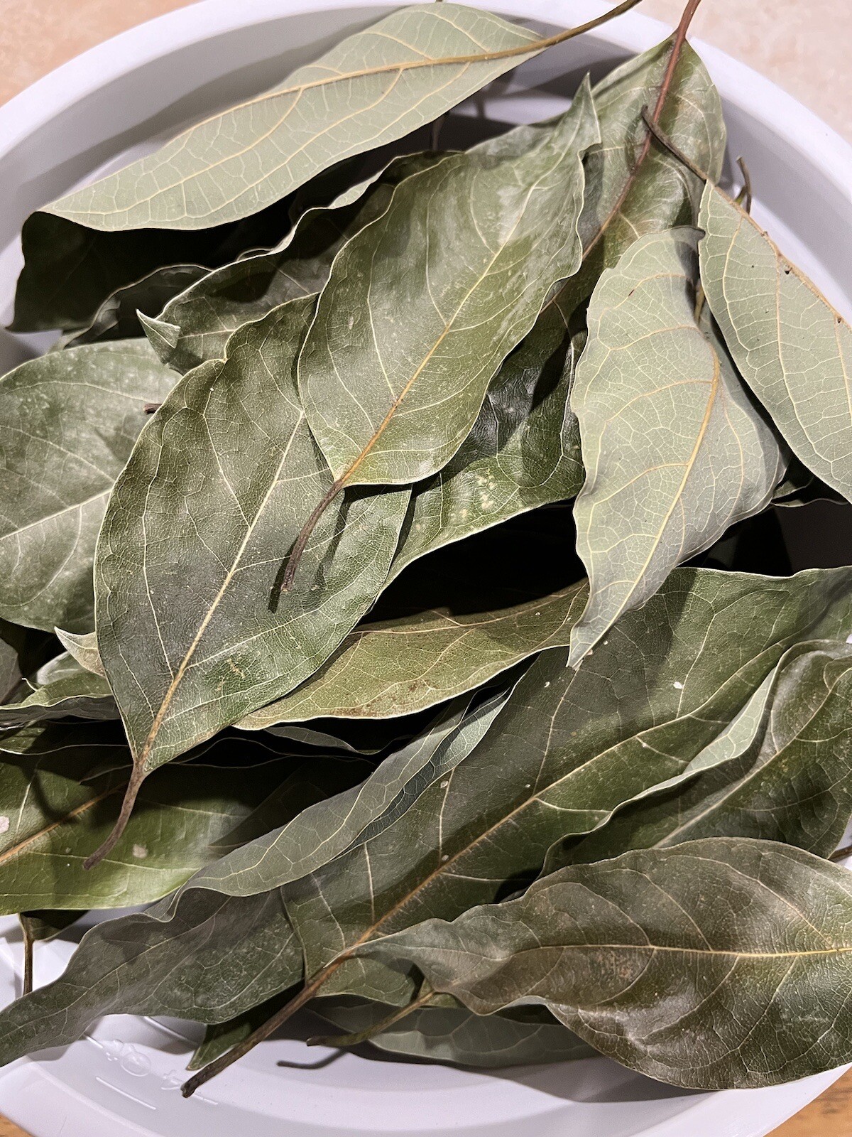 50 Organic Dried Fresh Avocado Leaves From Florida