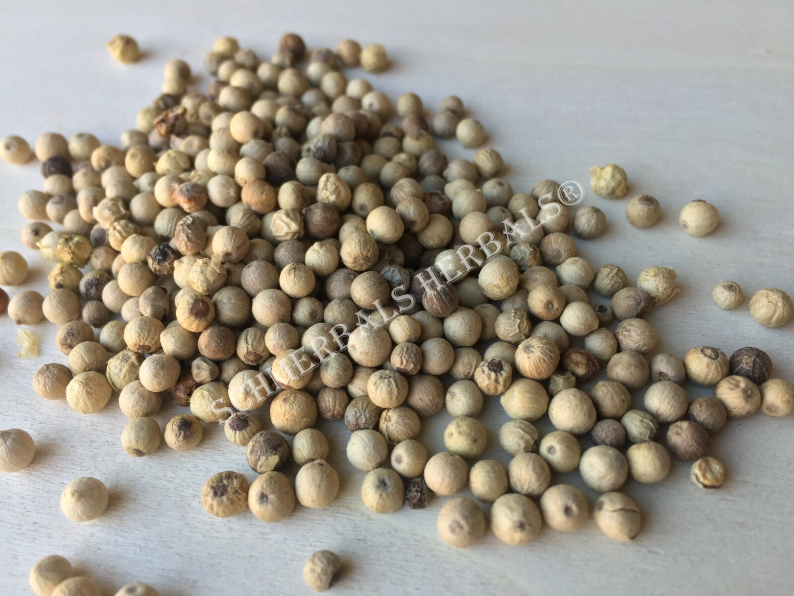 Peppercorn, Piper nigrum, White ~ Schmerbals Herbals