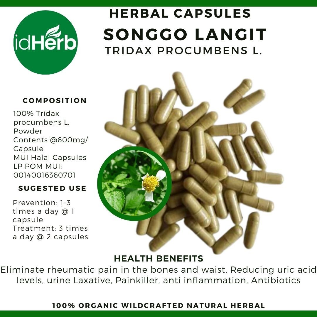 Capsules Tridax Procumbens L. Songgo Langit Natural herbal Organic 100% Herbs