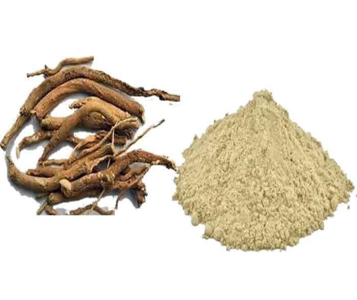 Spreading Hogweed Powder Punarnava Powder Natural Herbal Fine Powder Fresh Pure