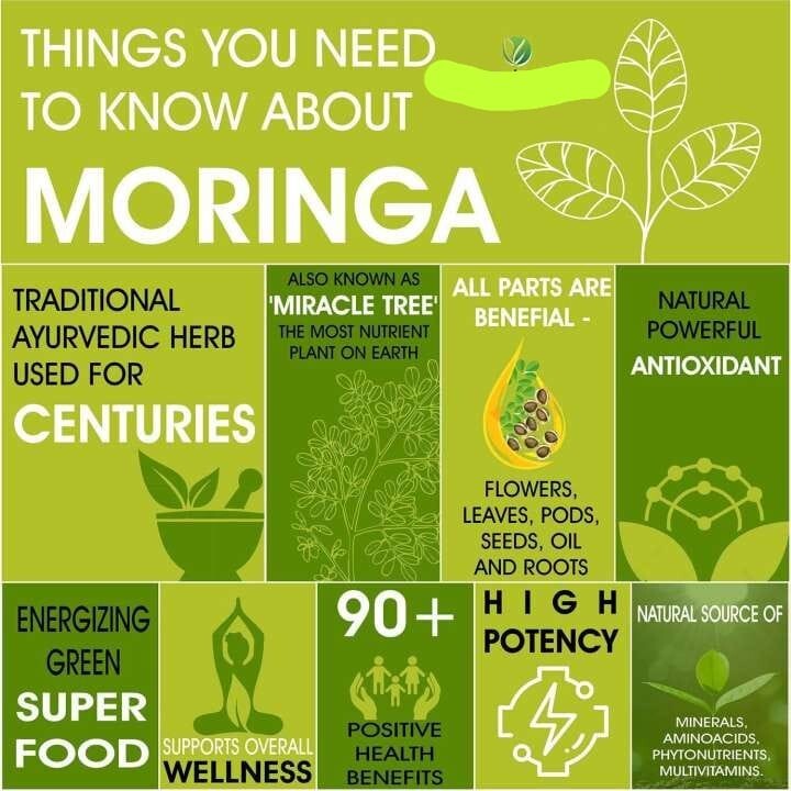 Organic natural home garden Dried Moringa Powder 50g.100% Premium Herbal proudct