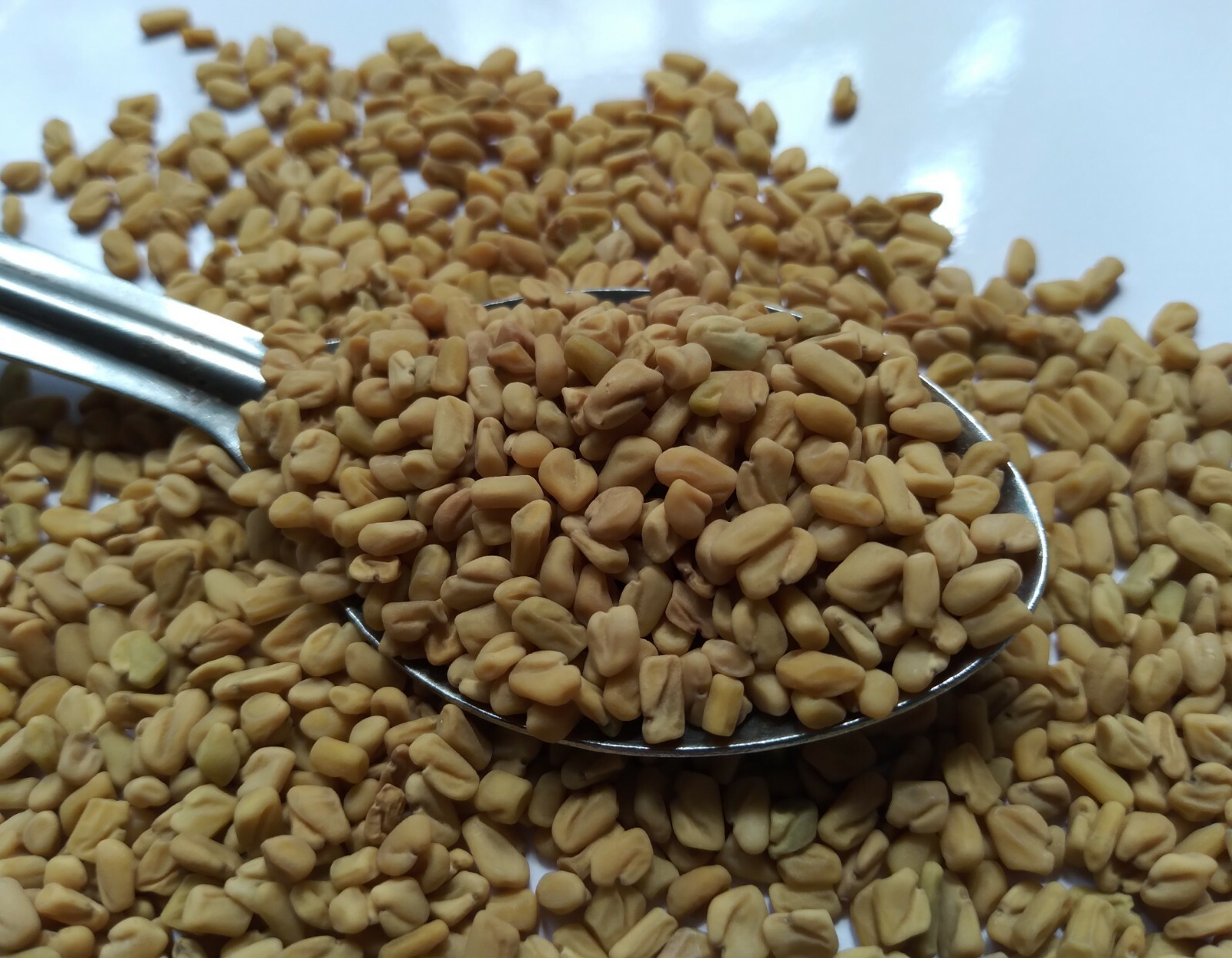 Natural Organic Ceylon Fenugreek Seeds 100g Best Quality from Sri Lanka