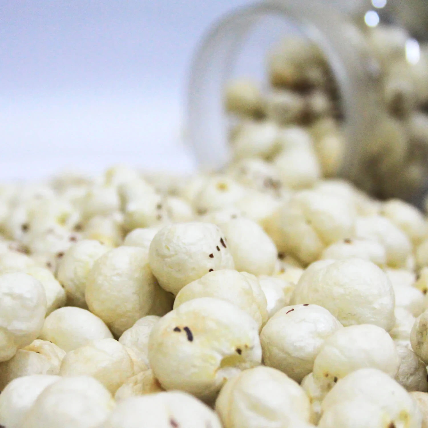 Phool Makhana Fox Nuts Lotus Seeds Healthy Natural Snack Premium Fresh Pure