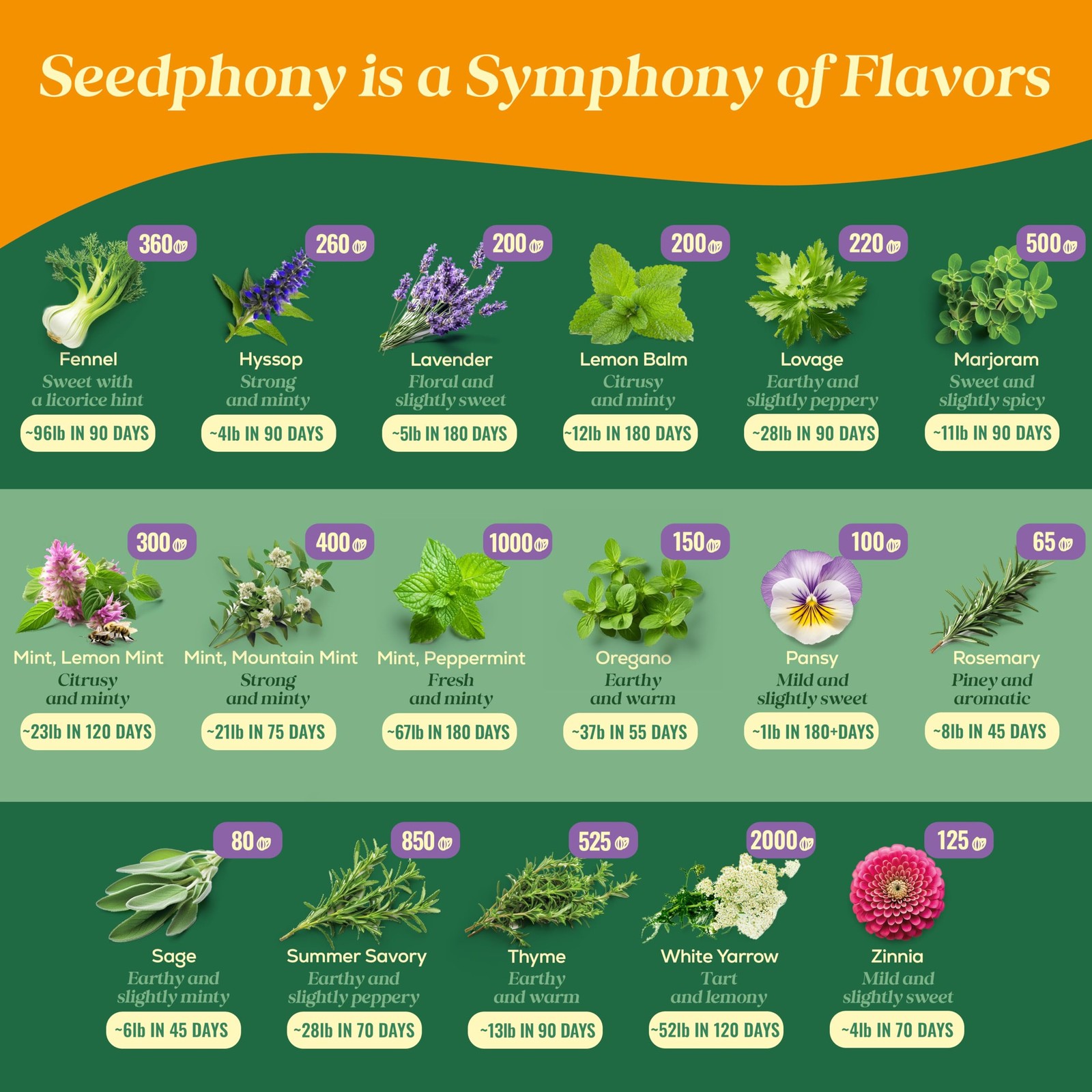 35 Medicinal & Tea Herb Seeds Variety Pack – 16,285+ Non-GMO Heirloom Herbs Seed